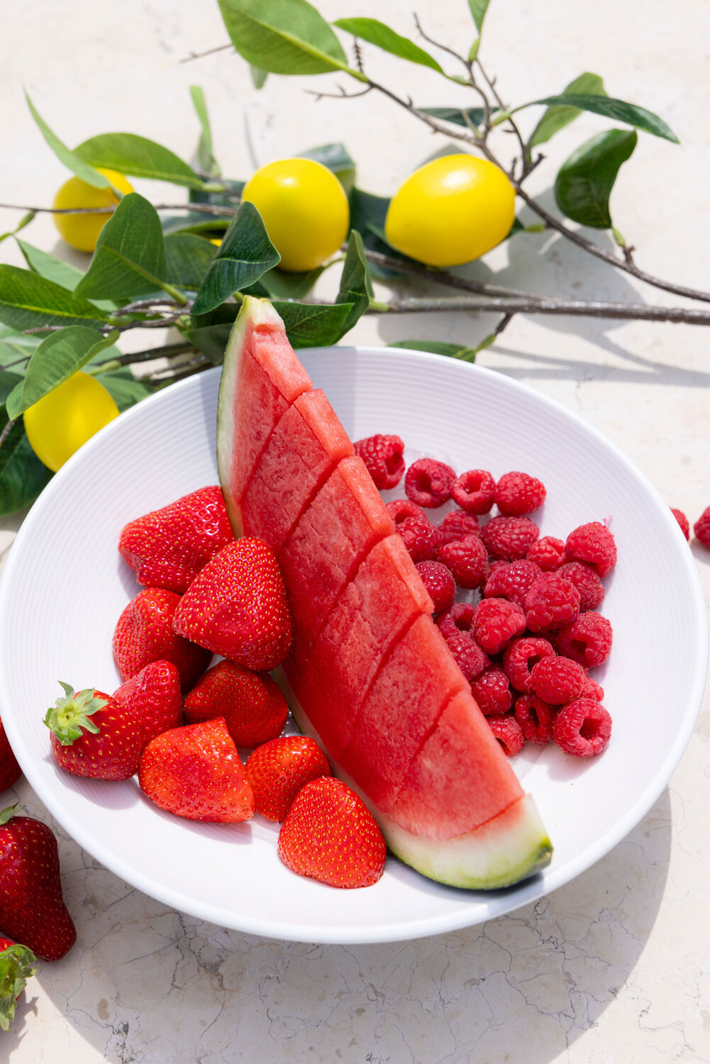 Ambrosia photo 11