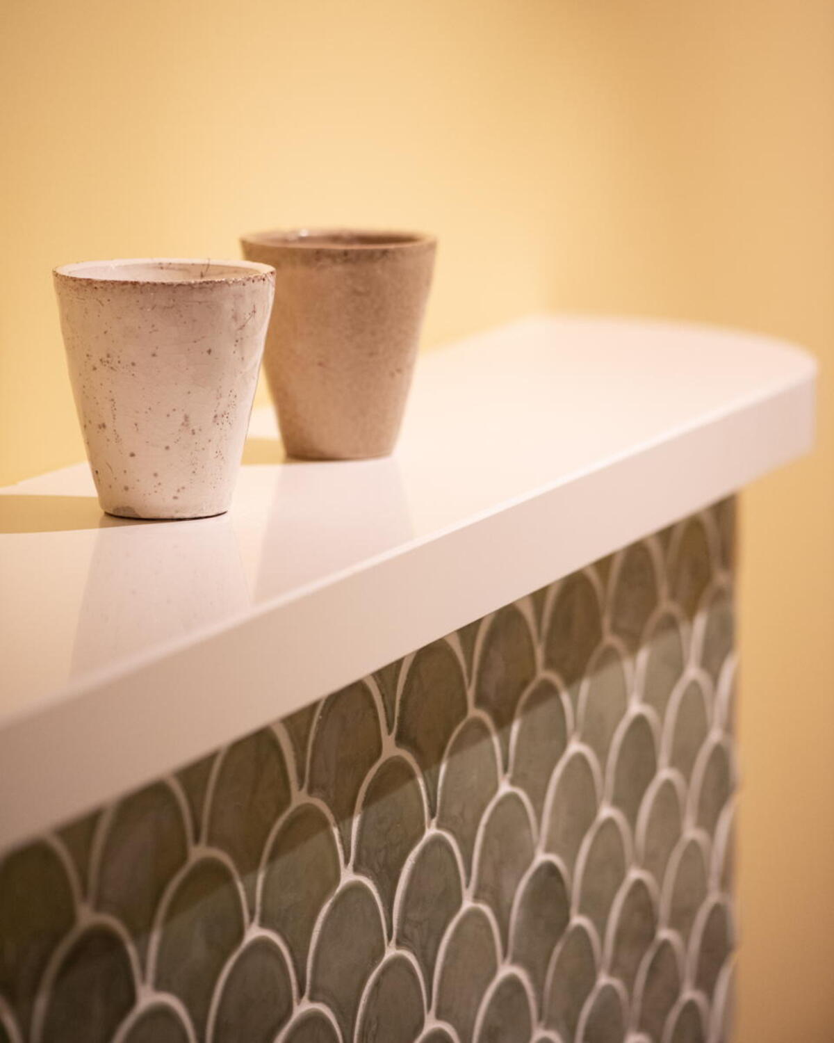 Ambrosia photo 14